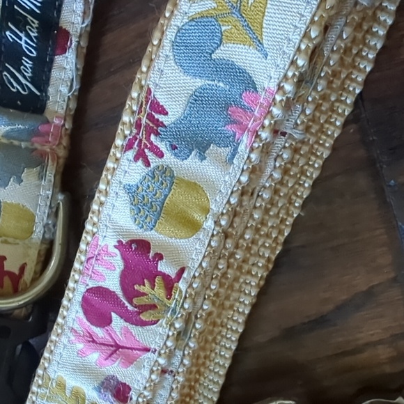 You Had Me At Woof Other - YOU HAD ME AT WOOF I Fall Autumn Squirrel Themed Dog Leash and Collar from Etsy